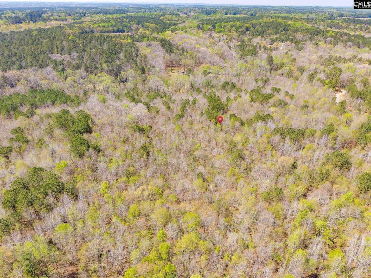 1249 Nick Watts Road  Photo 5