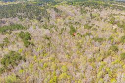 1249 Nick Watts Road  photo 4