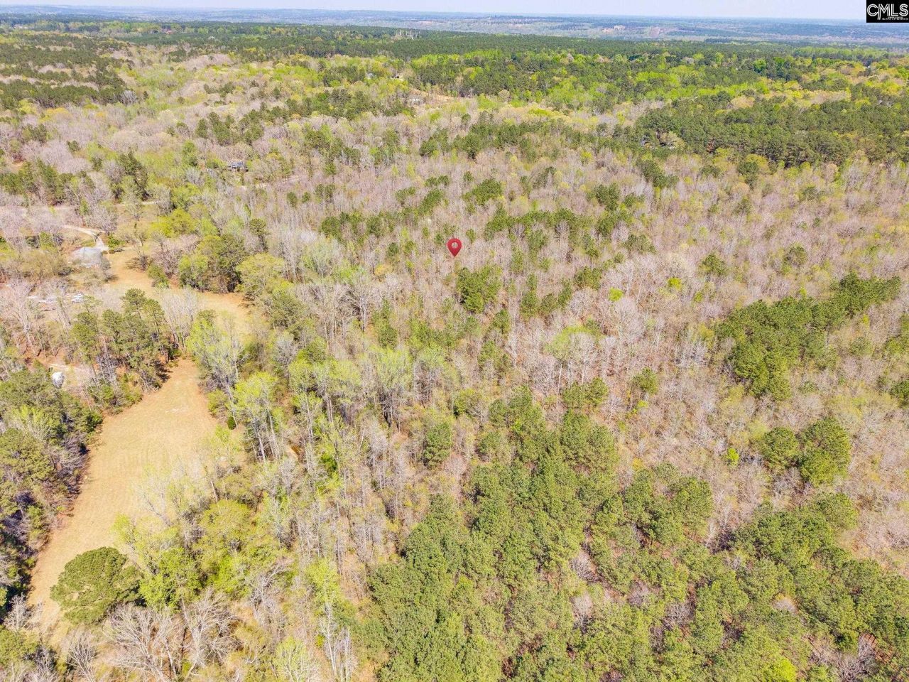 1249 Nick Watts Road  Photo 6