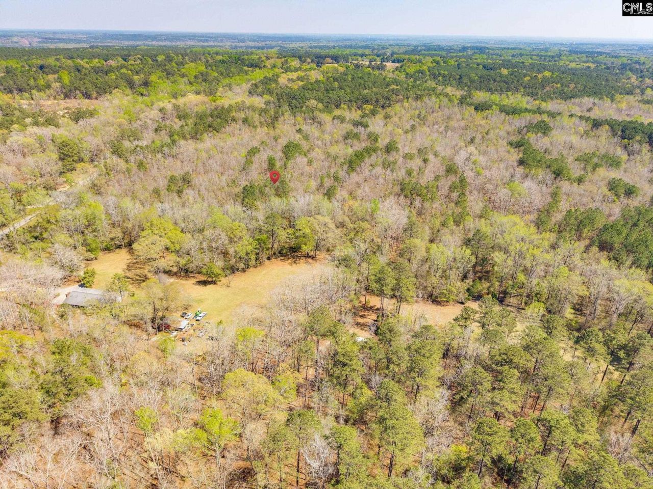 1249 Nick Watts Road  Photo 7