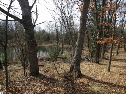 Caribou Trail W West Branch, MI 48661