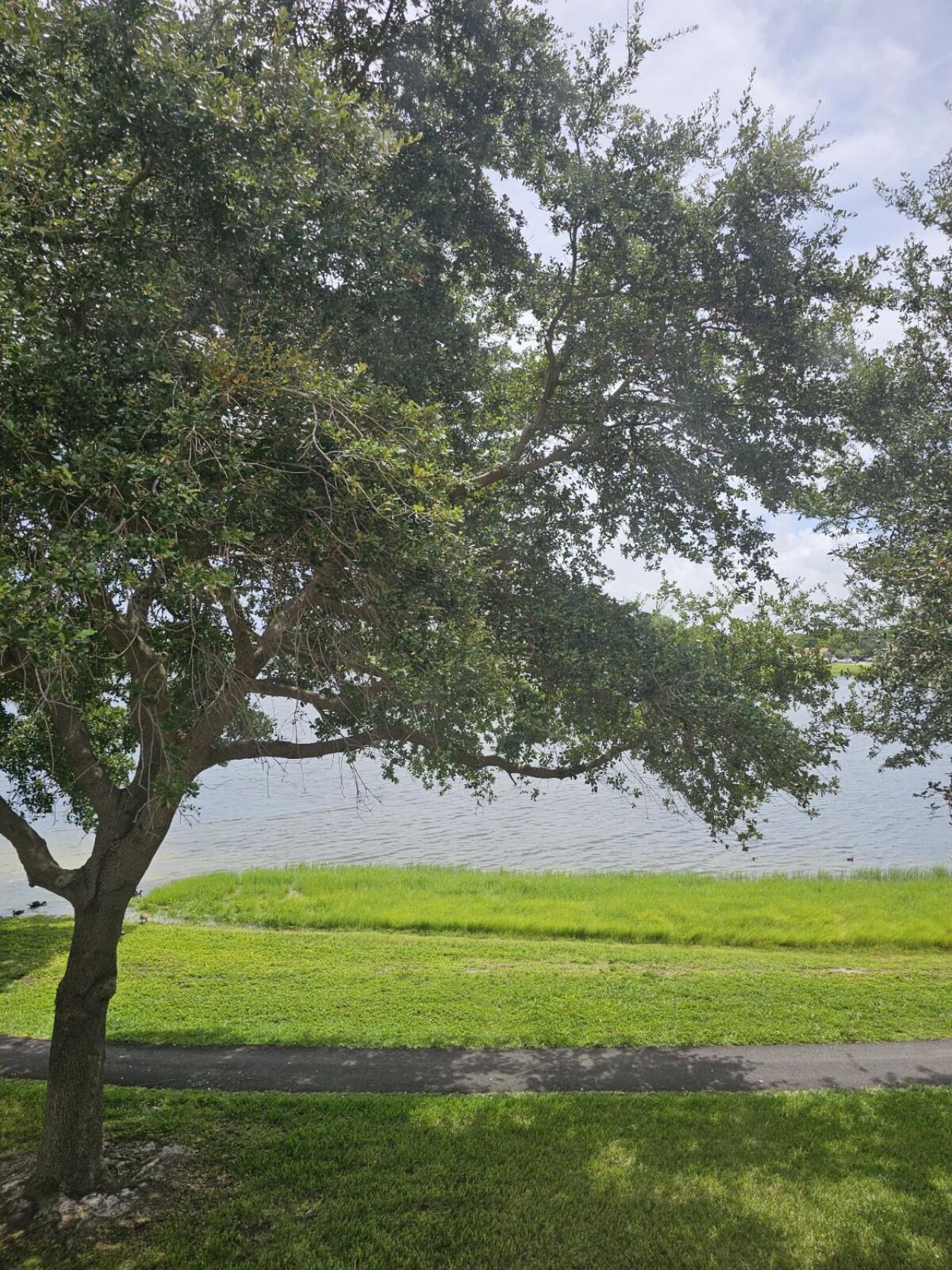 3150 Leewood Terrace, Unit L222, Boca Raton, FL 33431 Photo