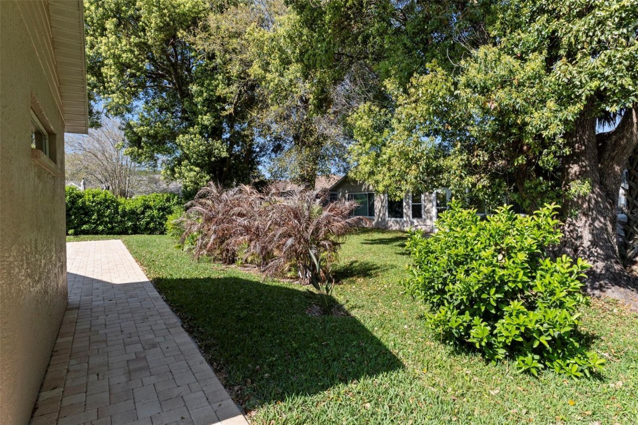 8143 Laurel Green Drive, Spring Hill, FL 34606 Photo