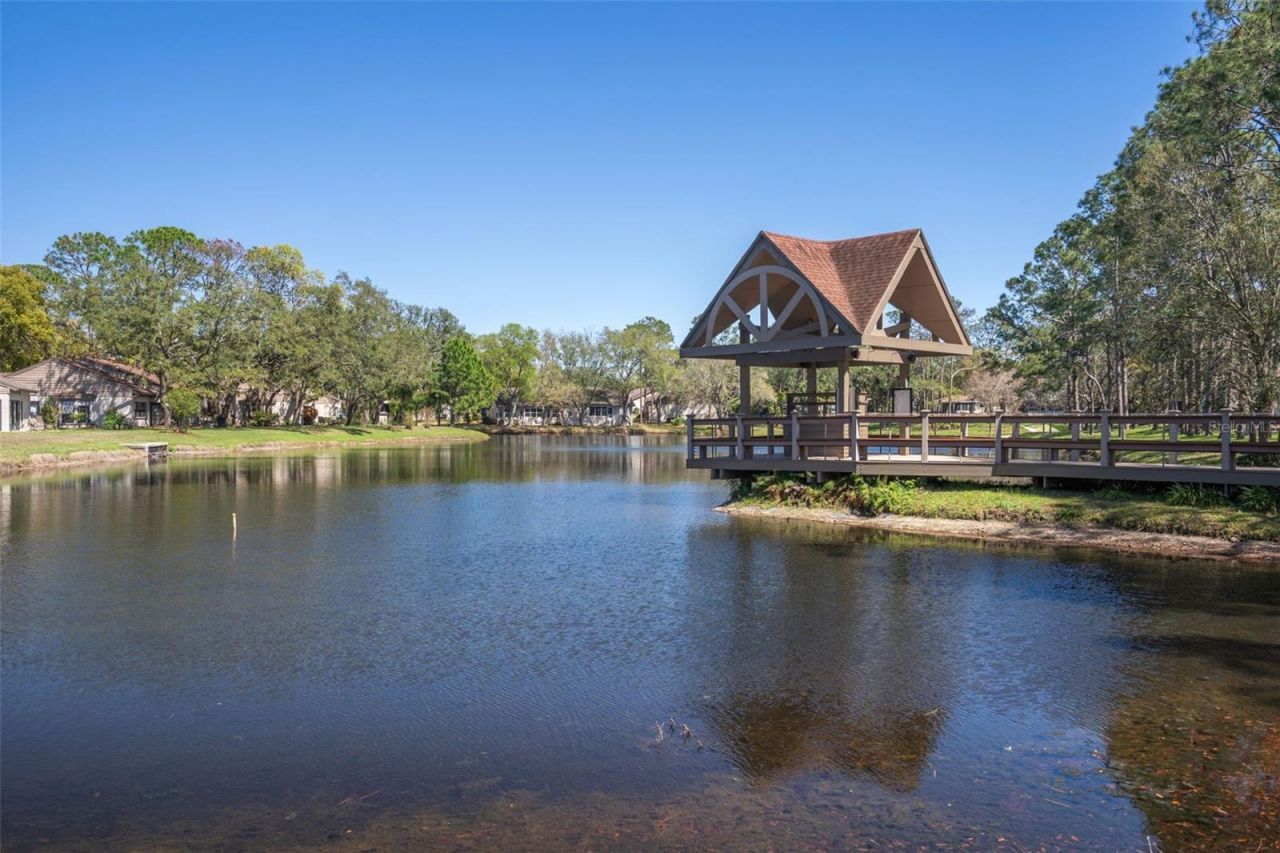 8143 Laurel Green Drive, Spring Hill, FL 34606 Photo