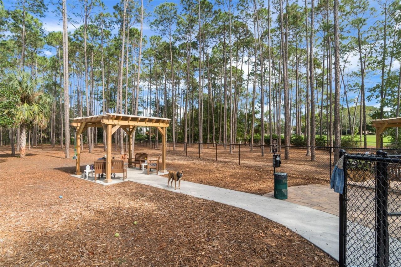 8143 Laurel Green Drive, Spring Hill, FL 34606 Photo