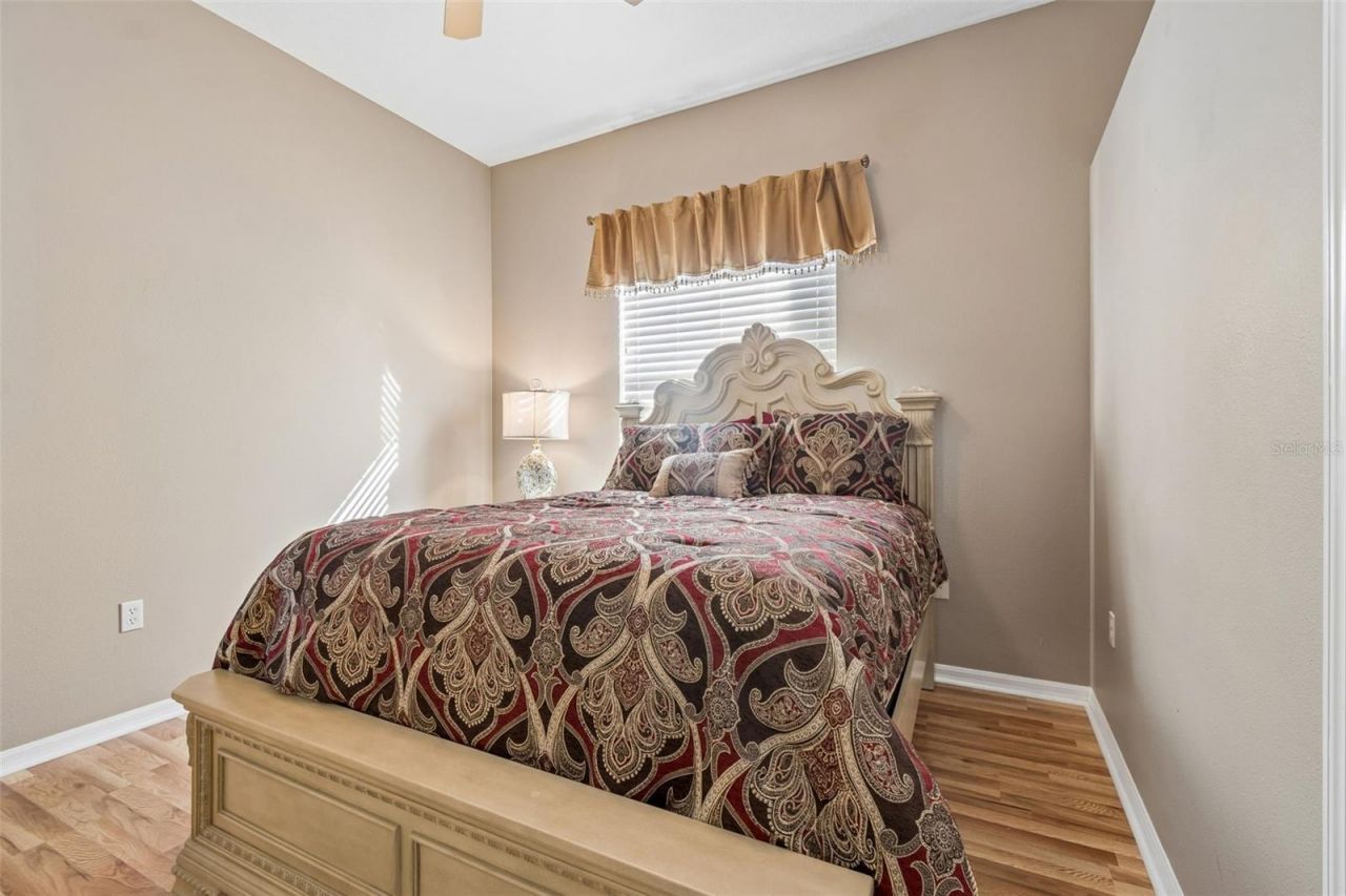 1602 Kish Blvd, Trinity, FL 34655 Photo