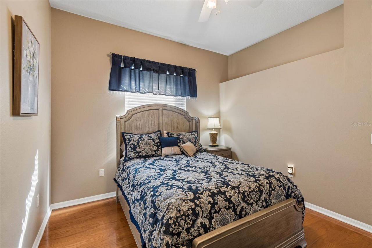 1602 Kish Blvd, Trinity, FL 34655 Photo