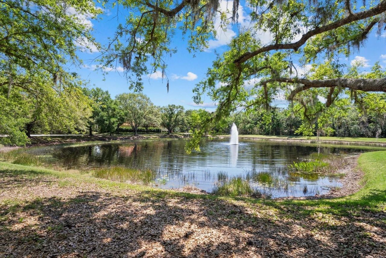 220 Dove Trail, Bradenton, FL 34212 Photo