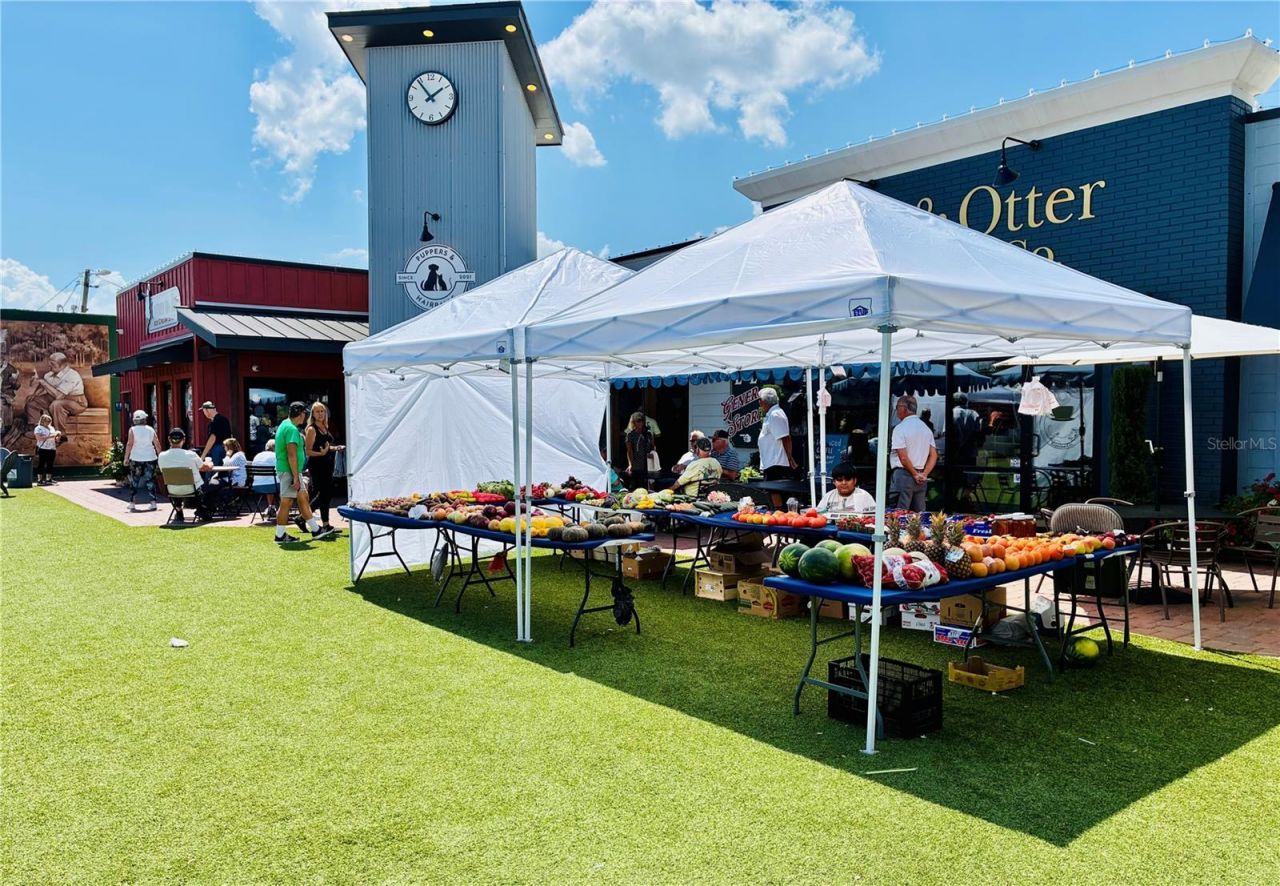 165 Anderson Street, Lake Placid, FL 33852 Photo