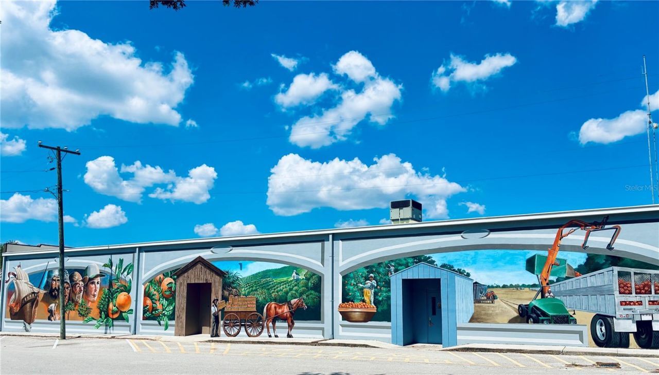 165 Anderson Street, Lake Placid, FL 33852 Photo