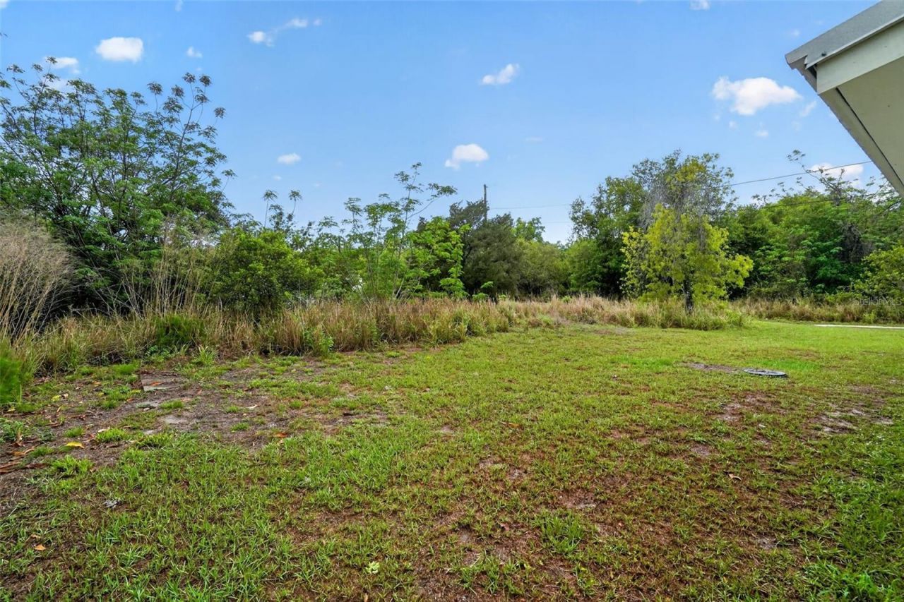 165 Anderson Street, Lake Placid, FL 33852 Photo