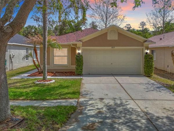18129 PORTSIDE STREET, TAMPA, FL 33647