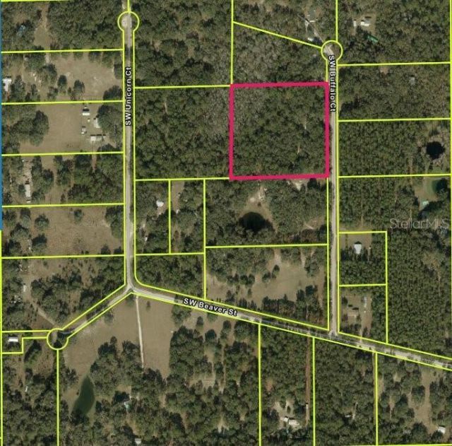 Sw Buffalo Ct, Fort White, FL 32038 Photo