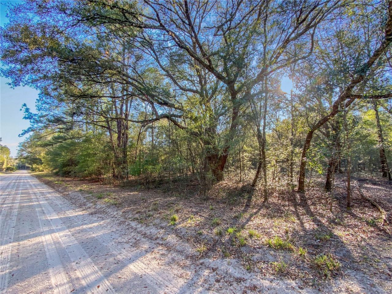 Sw Buffalo Ct, Fort White, FL 32038 Photo