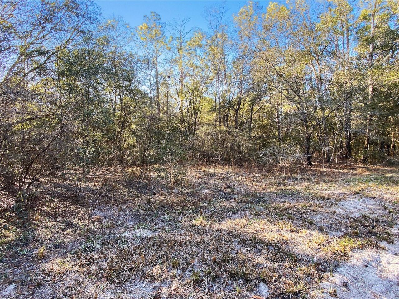 Sw Buffalo Ct, Fort White, FL 32038 Photo