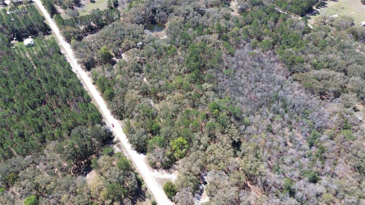 Sw Buffalo Ct, Fort White, FL 32038 Photo