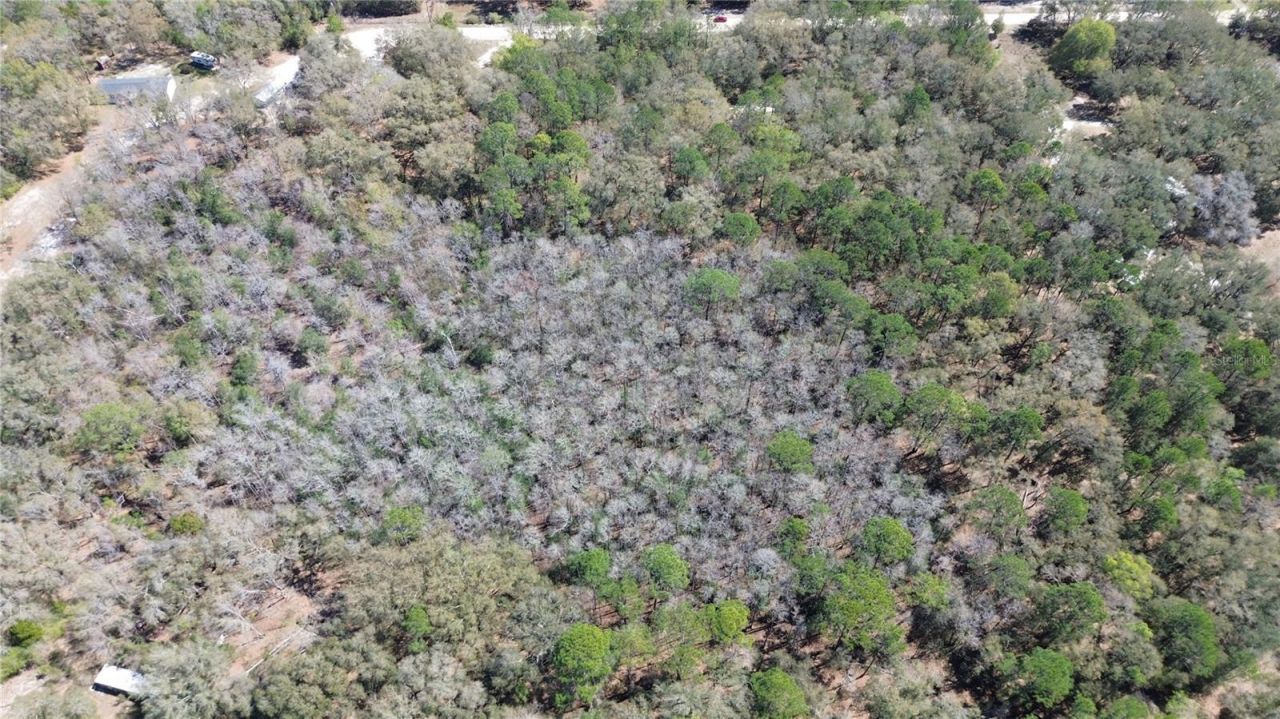 Sw Buffalo Ct, Fort White, FL 32038 Photo