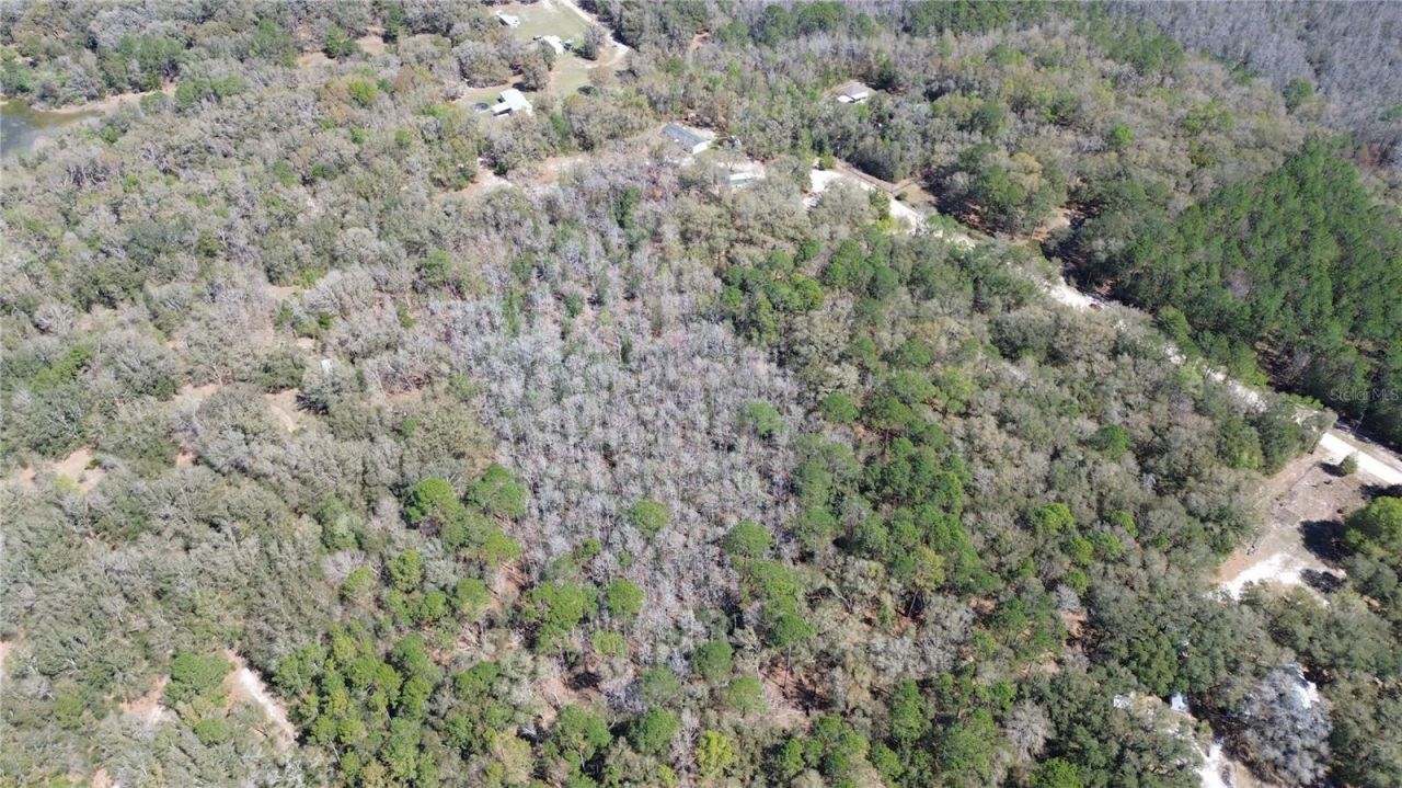 Sw Buffalo Ct, Fort White, FL 32038 Photo