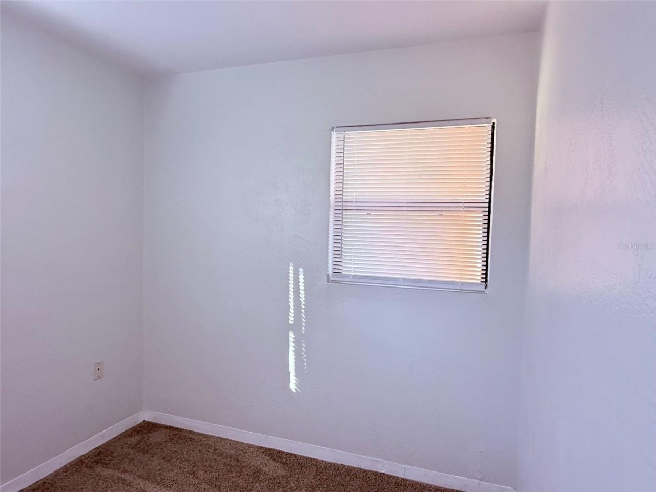 1544 77th Avenue N, Saint Petersburg, FL 33702 Photo