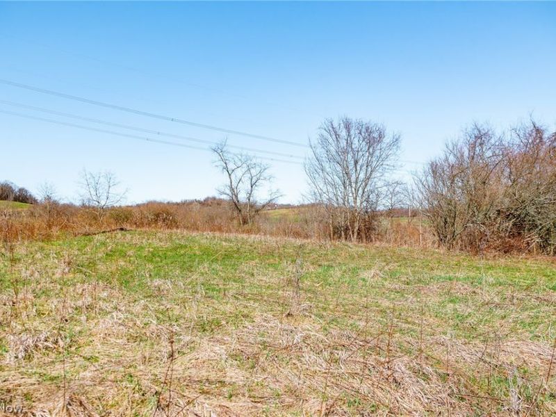 Township Road 135, Dillonvale, OH 43917 Photo 10