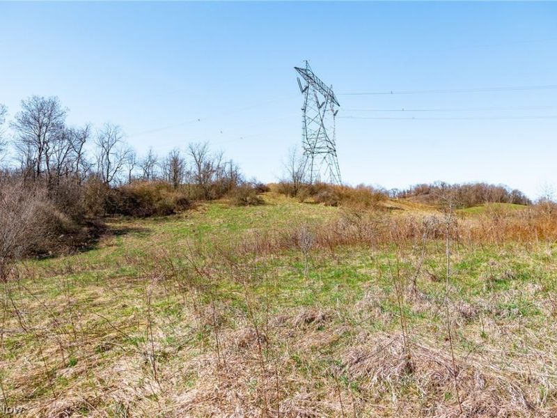 Township Road 135, Dillonvale, OH 43917 Photo 11