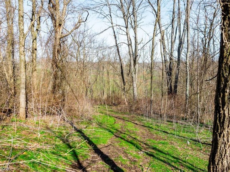 Township Road 135, Dillonvale, OH 43917 Photo 12