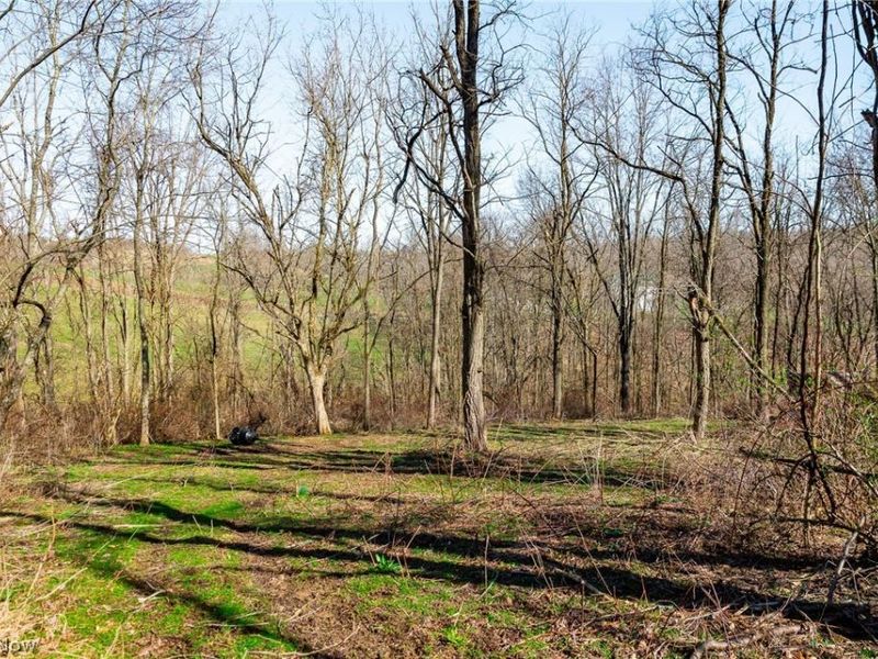 Township Road 135, Dillonvale, OH 43917 Photo 13