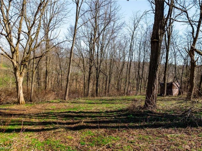 Township Road 135, Dillonvale, OH 43917 Photo 14