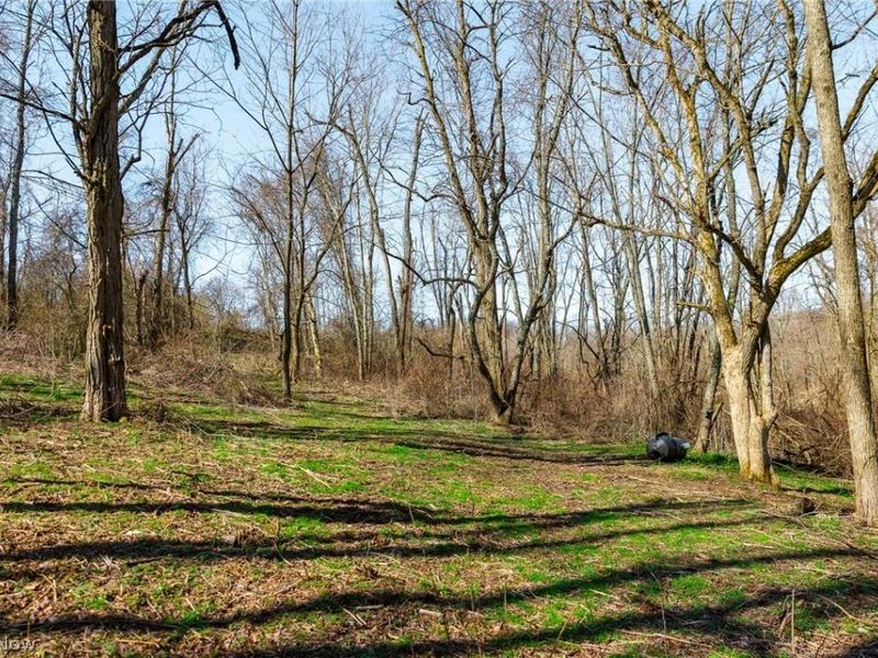 Township Road 135, Dillonvale, OH 43917 Photo 15