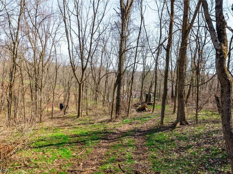 Township Road 135, Dillonvale, OH 43917 Photo 16