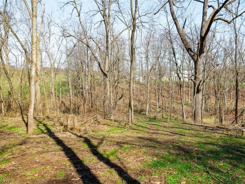 Township Road 135, Dillonvale, OH 43917 Photo 17