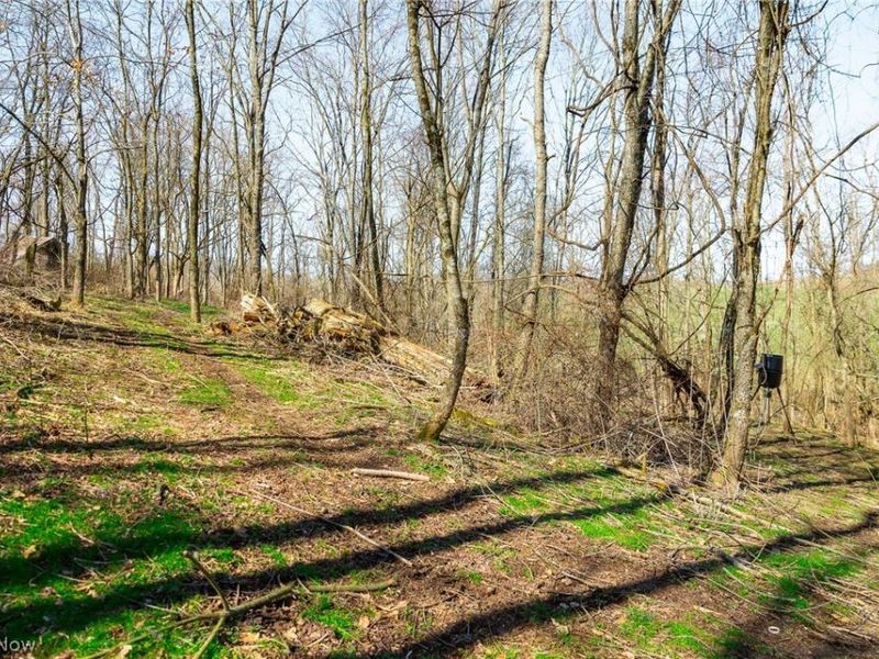 Township Road 135, Dillonvale, OH 43917 Photo 18