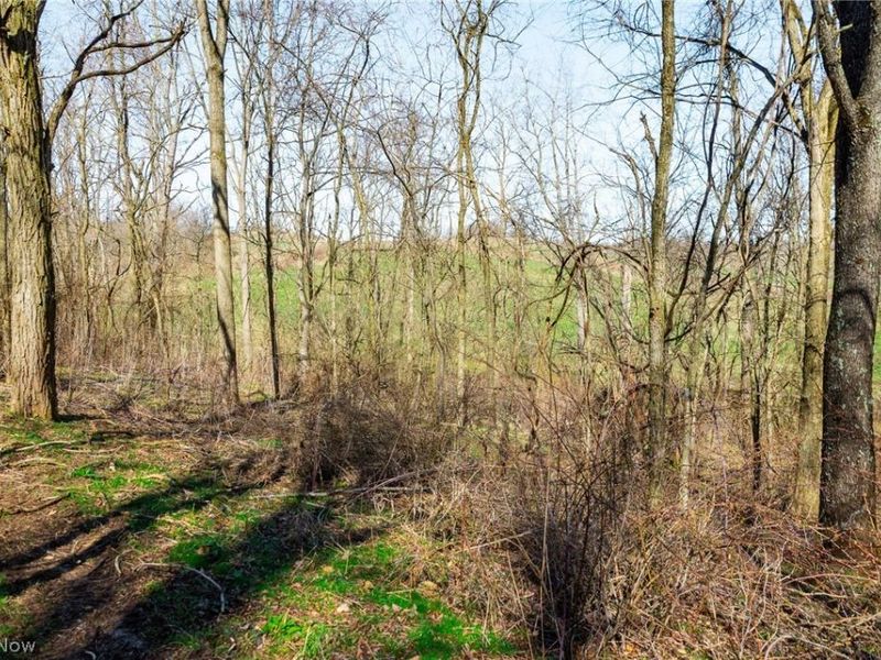 Township Road 135, Dillonvale, OH 43917 Photo 19