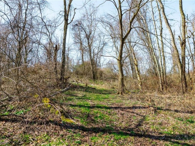 Township Road 135, Dillonvale, OH 43917 Photo 20