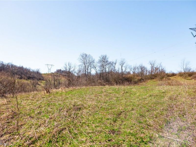 Township Road 135, Dillonvale, OH 43917 Photo 21