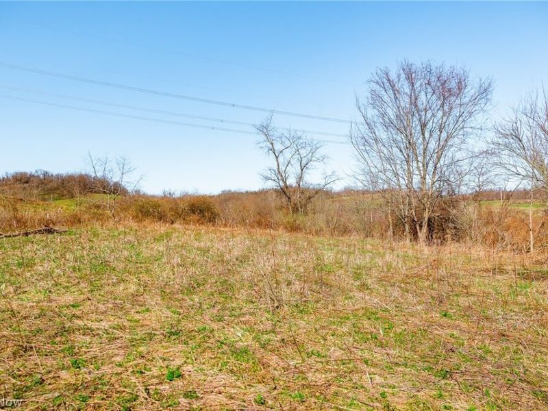 Township Road 135, Dillonvale, OH 43917 Photo 22