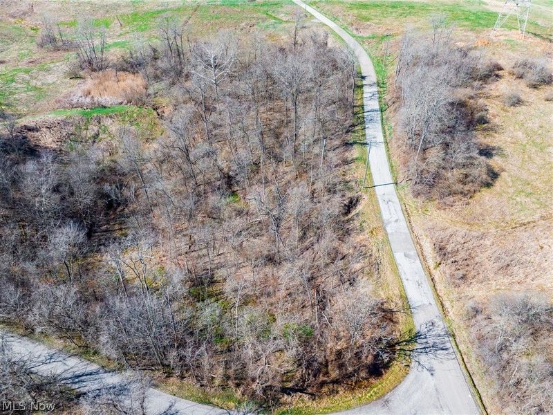Township Road 135, Dillonvale, OH 43917 Photo 27