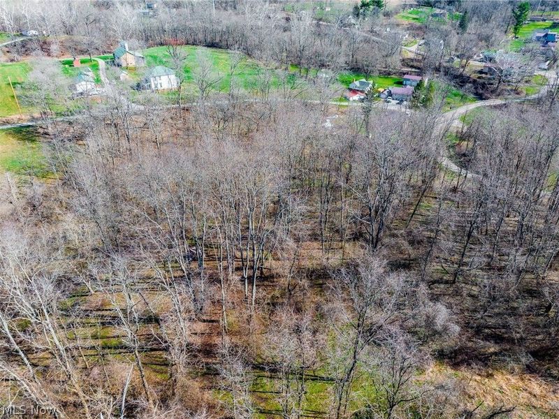 Township Road 135, Dillonvale, OH 43917 Photo 29