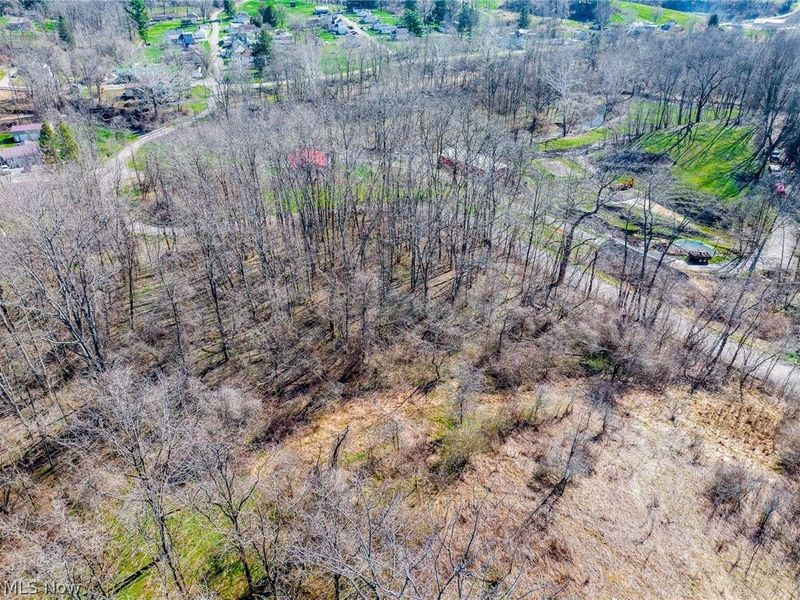 Township Road 135, Dillonvale, OH 43917 Photo 30