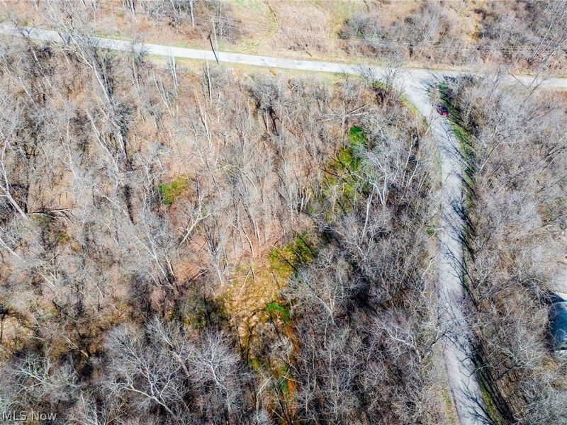 Township Road 135, Dillonvale, OH 43917 Photo 33