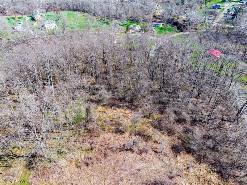 Township Road 135, Dillonvale, OH 43917 Photo 39