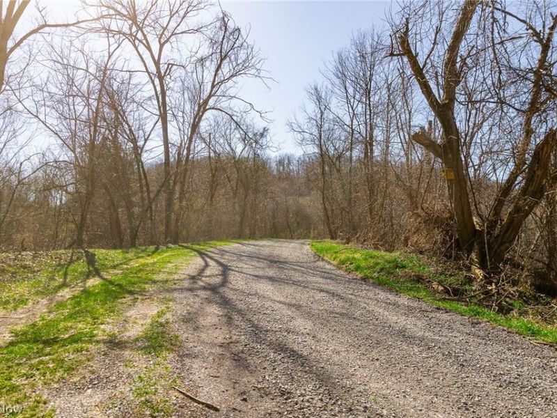 Township Road 135, Dillonvale, OH 43917 Photo 4