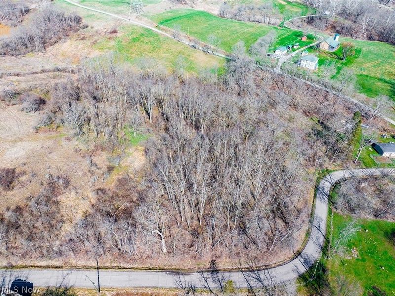 Township Road 135, Dillonvale, OH 43917 Photo 40