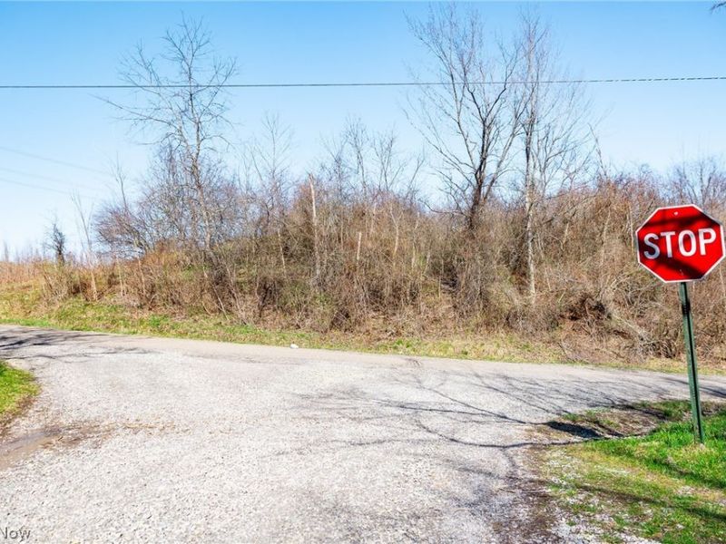 Township Road 135, Dillonvale, OH 43917 Photo 5