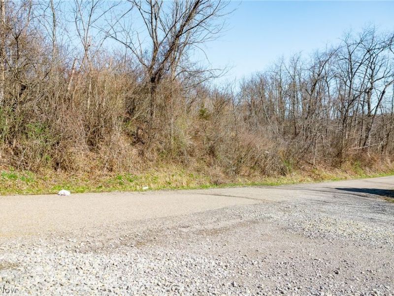 Township Road 135, Dillonvale, OH 43917 Photo 6