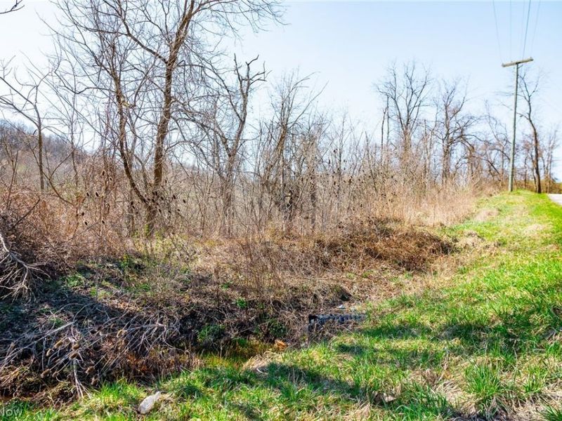 Township Road 135, Dillonvale, OH 43917 Photo 7