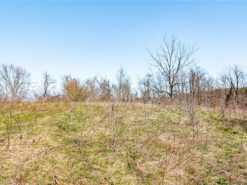 Township Road 135, Dillonvale, OH 43917 Photo 8