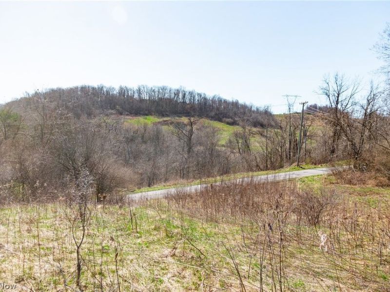 Township Road 135, Dillonvale, OH 43917 Photo 9