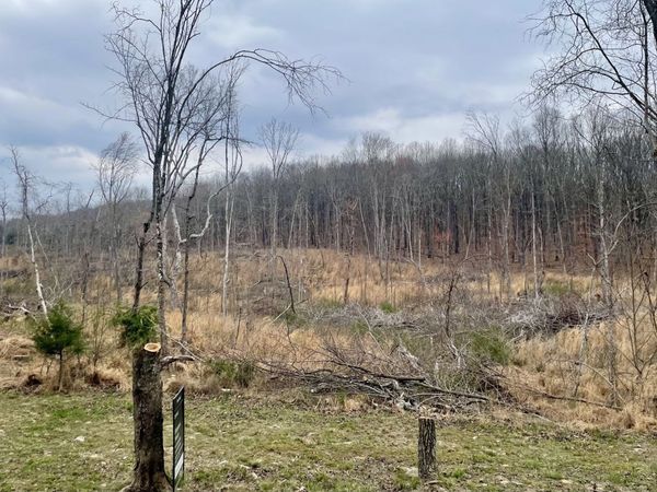 0 Jackson Point Rd , Sewanee, TN 37375