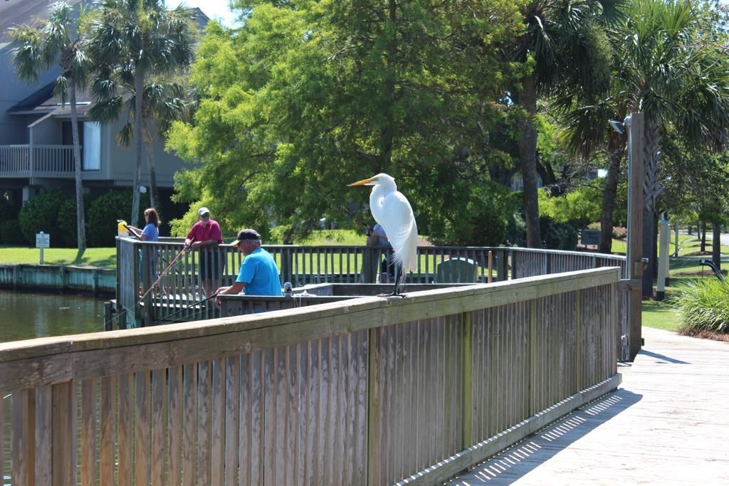 216 Club Circle Dr.  Photo 29